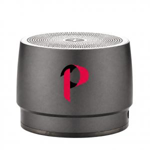 PPFF01354 Högtalare 